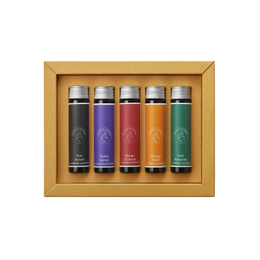 Coffret De 5 Tubes d'encre Jacques Herbin -  Flacons Solaris 5 X 15 ml