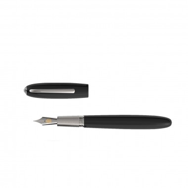 Stylo Plume F-Acier "Alter Ego" JAN ZANDER Design Ebonite Plaqué platine dessus